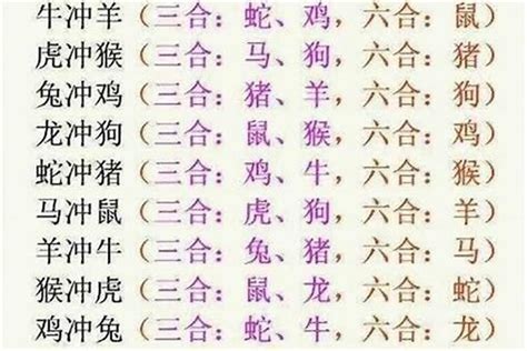 十二生肖六合|十二生肖6合3合对照表 十二生肖三合六合表